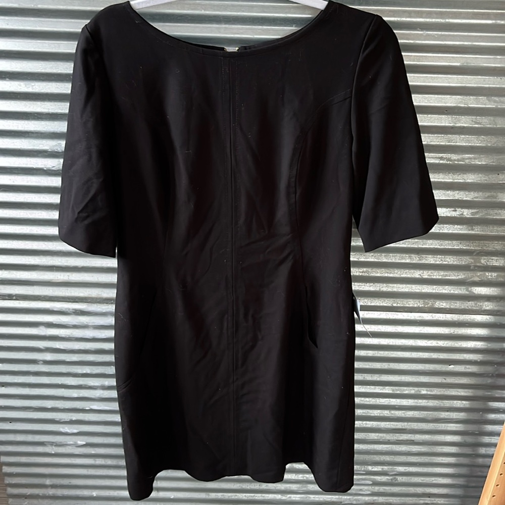 Brand New beautiful Tahari dress with POCKETS!